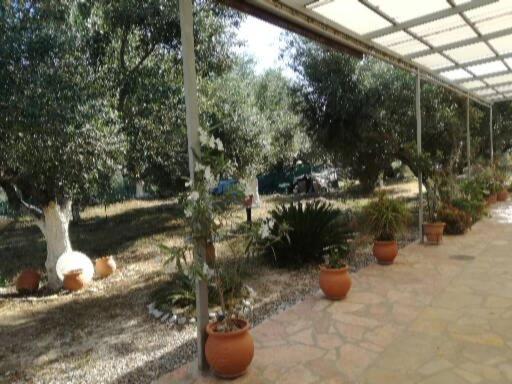 Sunny Holiday Home Каламата Экстерьер фото
