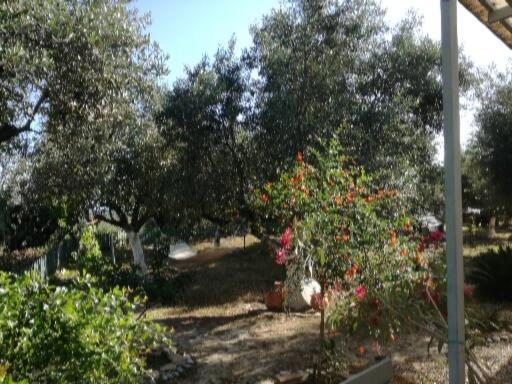 Sunny Holiday Home Каламата Экстерьер фото